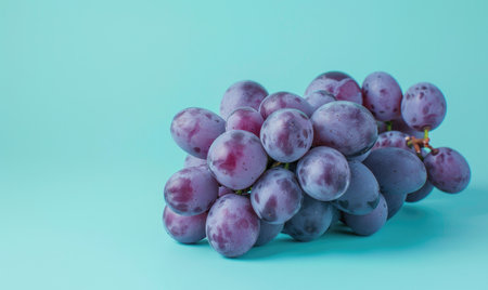 Grapes on a pastel mint backgroundの素材