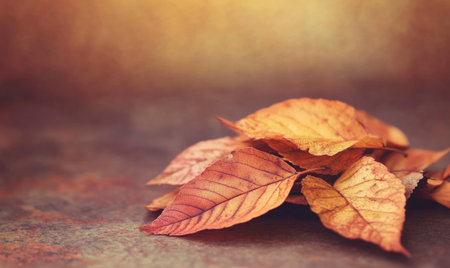 Pile of autumn leaves, deep golden tones, autumn backgroundの素材
