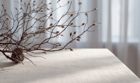 A branch with a pinecone on it is on a table. The table is white and has a window behind itの素材