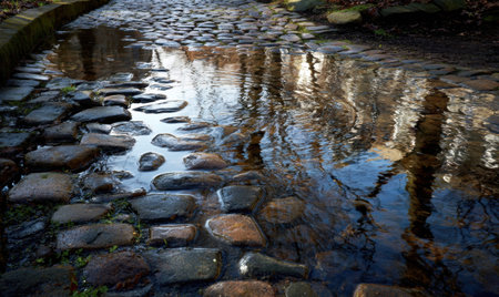 A stone walkway with water on it. The water is reflecting the trees. There are two people in the waterの素材
