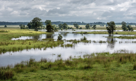 A field with a body of water in the middle. Trees are in the background. The water is murkyの素材