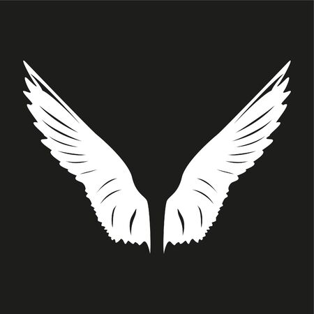 Wings of a bird. White vector illustration on black background.のイラスト素材