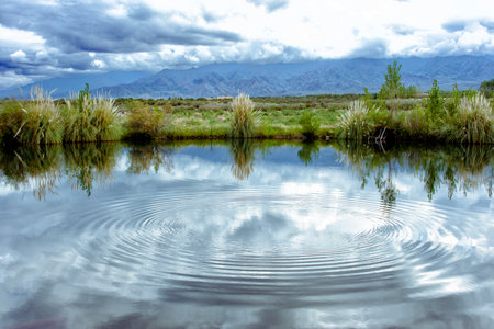 Water reflection between bushes in front of the mountainの写真素材