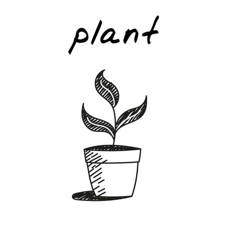 Plant flowerpot handdrawn icon. Cute vector illustration of a plant with three leaves growing in a pot. Outlined sketch of a concept of domestic plants, ecology, nature, house plants, ecoのイラスト素材