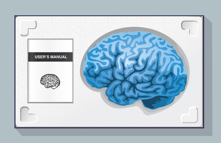 Box containing a brain and its user manual in a polystyrene packagingのイラスト素材
