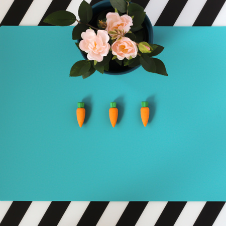 Three carrots with roses on blue backgroundの写真素材