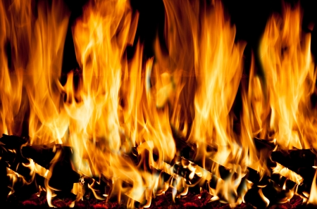 burning woods and flames in black background の写真素材