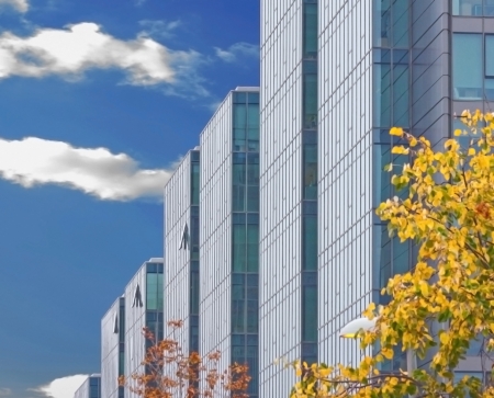  financial skyscrapers on a background of the blue sky and trees in fallの写真素材