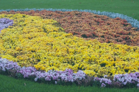 composition from different flowers at the parkの写真素材