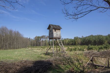 Wooden deer stand looks like elevated tiny house with ladder situated on small glade in the middle of forest, beautiful early springtime weather, sunlight and blue skyの写真素材