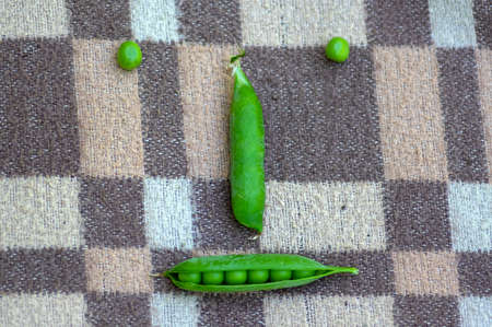 Pisum sativum pea green fruits in gree pods on brown background, tasty ripened sweet summer fruit, harvesting time, vegetables detailの写真素材