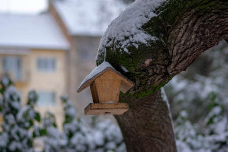 bird feeder hanging on a tree during winter covered with snow, diy simplicity craft made from wood