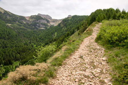 Italy, Mount Cornetto surroundings, italian Alps Dolomites, dirty roadの写真素材