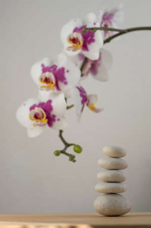 Stack of bright white stones built in tower isolated on white background with white purple orchid flower on long green stemの写真素材