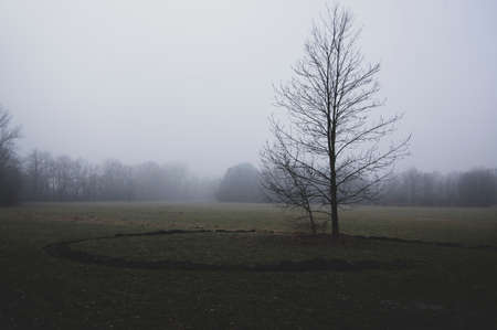 Sad foggy landscape with trees, depressed mood scenery in gray mist, Nemosicka stran during late...