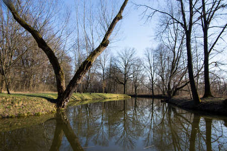 Natural location Na Podkove near Chrudima river, oxbow surrounded with trees and greenery, water...