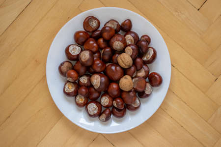 Group of fresh chestnuts and walnuts on white plate on the table, nuts one by one spread on light...