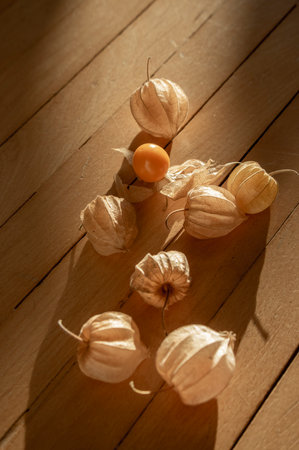 Physalis peruviana ripened orange yellow cape gooseberry goldenberry edible tasty ingredient fruits spread on rustic wooden backgroundの写真素材
