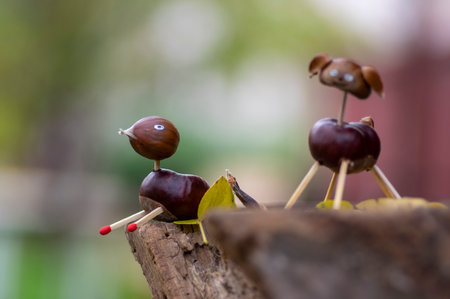 Funny chestnut duck animal with cute face on natural background stump, traditional fall autumnal handcraft with childrenの写真素材