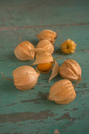 Physalis peruviana ripened orange yellow cape gooseberry goldenberry edible tasty ingredient fruits spread on rustic wooden backgroundの写真素材