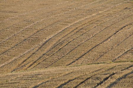 after harvest seasonの写真素材