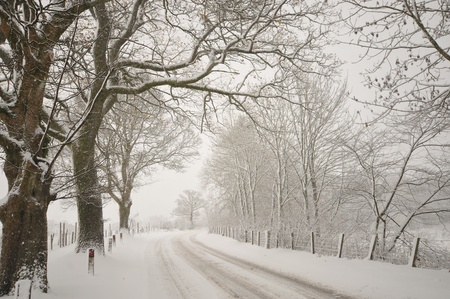 countryside in winterの写真素材
