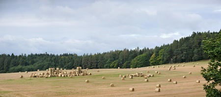 after the harvest