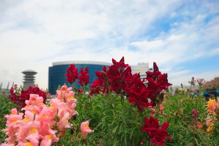Summer city landscape. View over flowers. Astana, Kazakhstanの写真素材