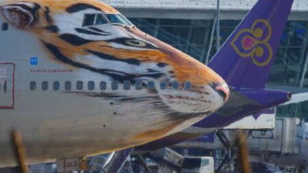 Rossiya Boeing 747 Tigers Liveryのeditorial素材