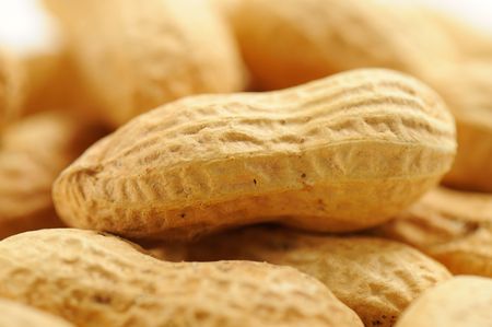 Peanuts on white background photographed in studio