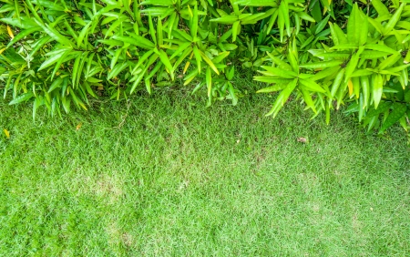 Greenswardの写真素材