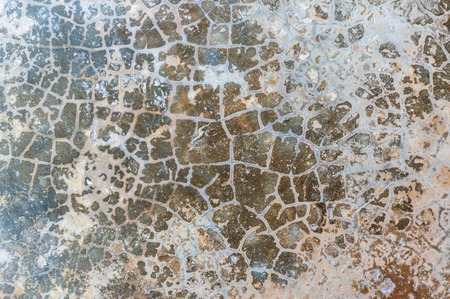 closeup of concrete wall texture