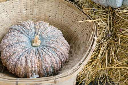 Place the pumpkin on a basket weave woodの写真素材