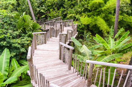 wooden bridge in garden, Wood Boardwalksの写真素材