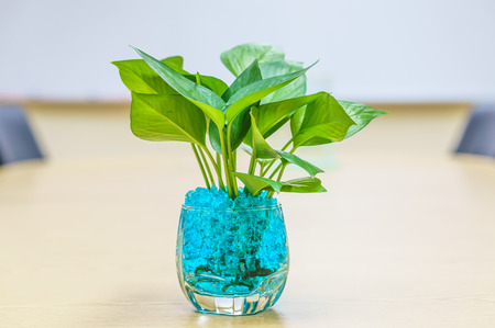 Plants in vases on table in meeting room,office areaの写真素材