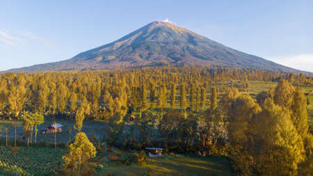 Panoramic view of Mount Fuji, Yamanashi, Japan