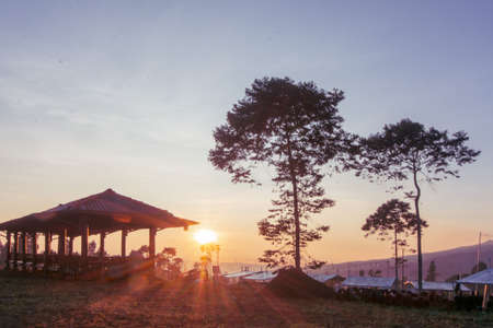 Pine tree and pavilion on the beach in the morning.の写真素材