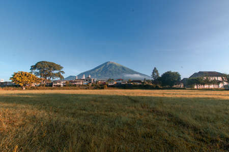 Agricultural field with mountain in the background at sunrise.の写真素材