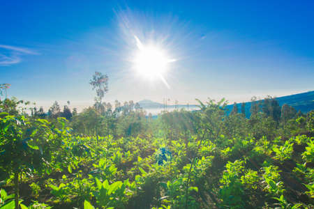 Beautiful landscape of the morning sun on the mountain with blue skyの写真素材