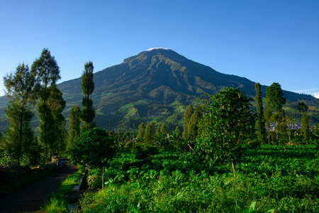 View of Mount Etna, Sicily, Italy. View from the road to the volcano.の写真素材