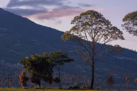 Dramatic sunset in the countryside with trees and mountains in the backgroundの写真素材