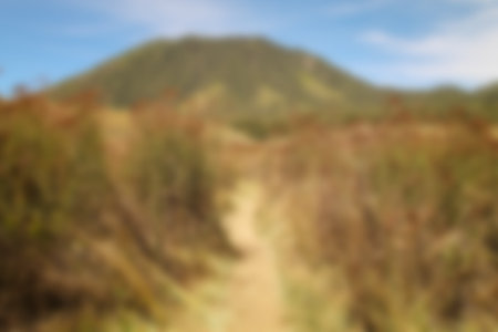 blur view of meadow in summer, with a view of dry grass. Blurred backgroundの写真素材