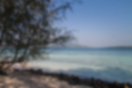 Blurred background, view tropical beach with sun light wave abstract background. Travel concept.の写真素材