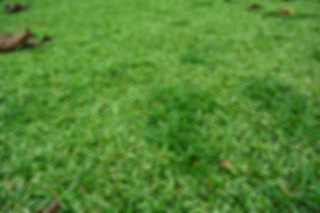 Tea garden view with cloudy clouds. Green nature blured background for your text