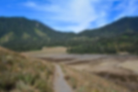 blur view of meadow in summer, with a view of dry grass. Blurred backgroundの写真素材