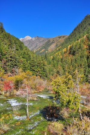 Streaming water at mountainous area in Jiuzhaigouの写真素材