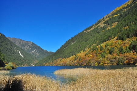 lake with straws on foreground, on a valley with trees in Jiuzhaigou during Autumn.の写真素材