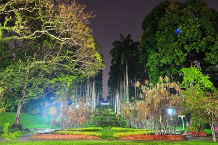 Front view of Ang Mo Kio Town Garden, located in north of Singapore, by nightの写真素材