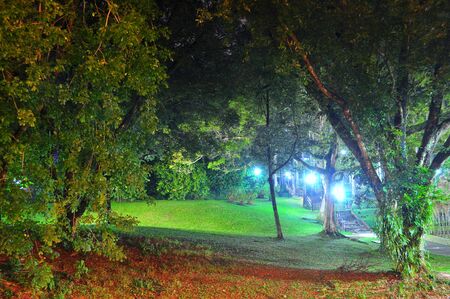 Ang Mo Kio Town Garden, located in north of Singapore,  by nightの写真素材