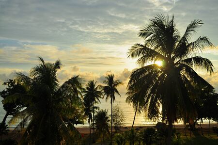 Scenic view of Desaru Beach (located in Malaysia) with sunrise in the background, and palm trees in the foregroundの写真素材
